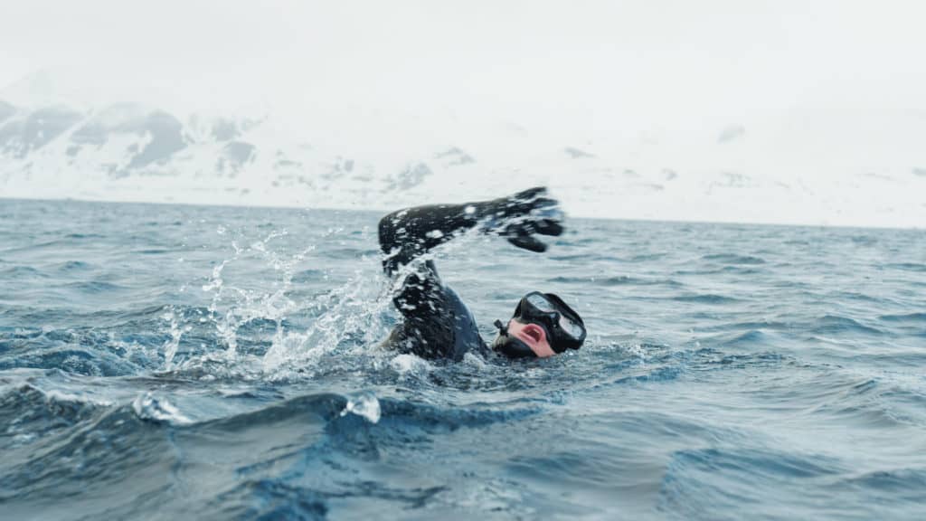霍夫曼在南极游泳。