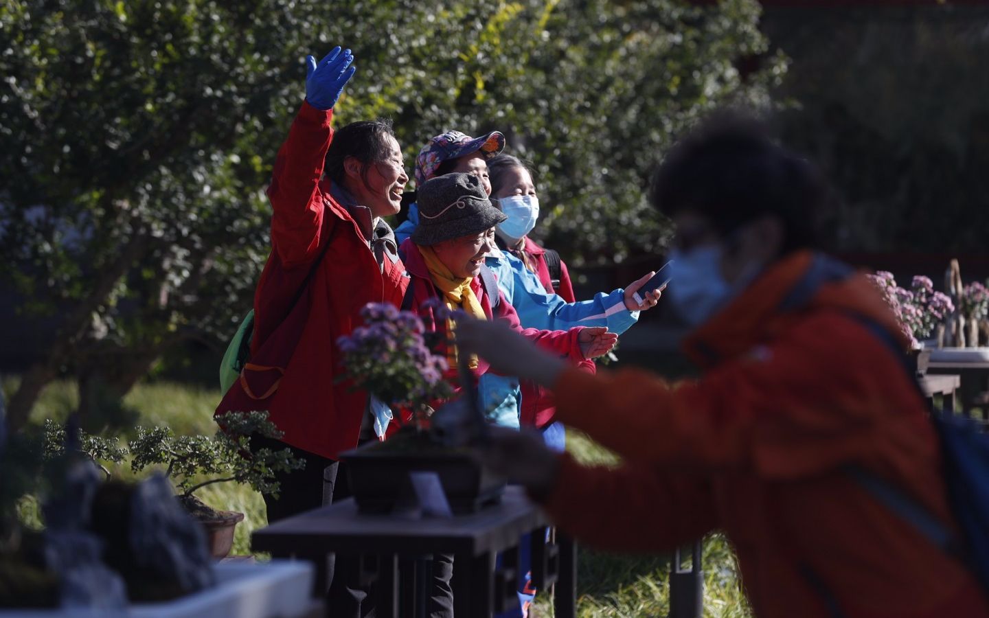 　　10月22日，北海公园阐福寺，市民在室外展区观赏拍摄菊花盆景。摄影/新京报记者 侯少卿