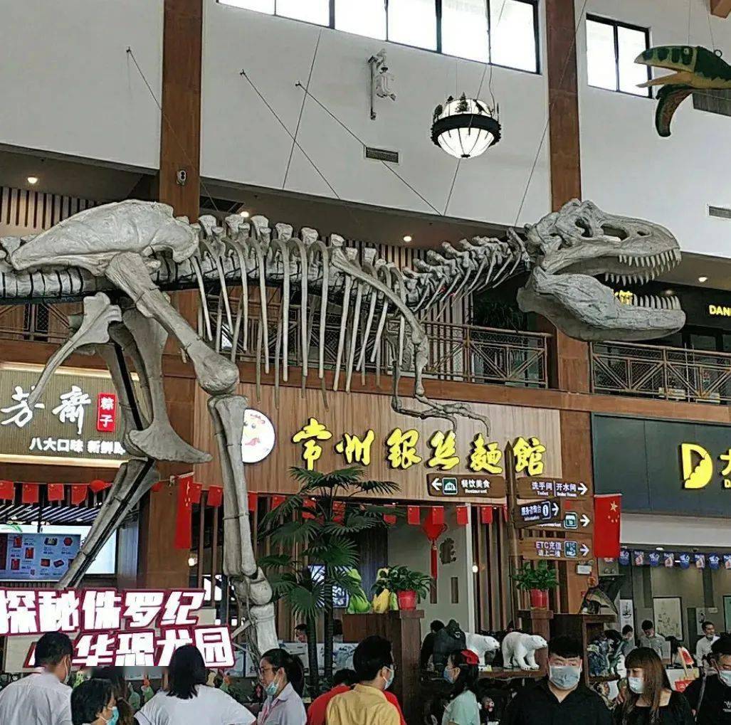 常州芳茂山主题恐龙服务区，图片来自社交媒体