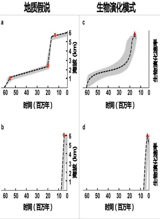喜马拉雅地区两种隆升假说：渐进式隆升假说（a）和近期隆升假说（b），以及相对应的生物演化过程预测（c、d）。图c与实际演化过程更加相符