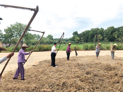 李豆罗和村民在干农活。